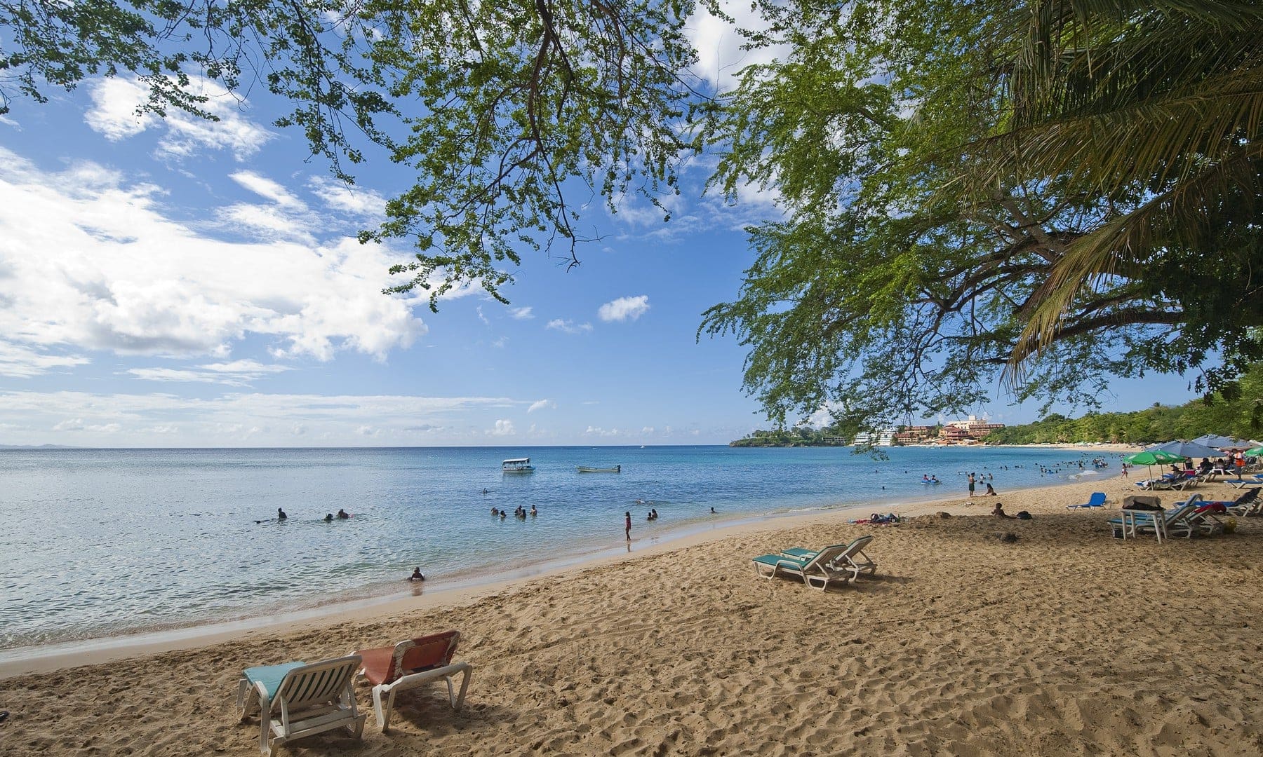 Rescatemos Nuestro Paraíso nueva campaña de concienciación en