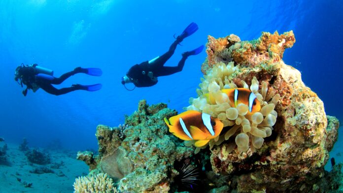 Parque Submarino Bahía de Sosúa